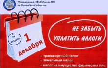 Cрок уплаты налогов
