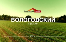 Вологодский гектар   