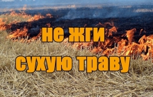 Весенний пал травы – это опасно!