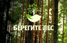 Охрана лесов