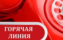 Проведение горячей линии