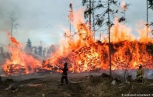 Пал травы: опасность и ответственность